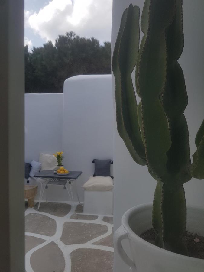 Villa Cassaris Mykonos Drafaki Exterior foto