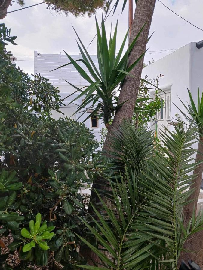 Villa Cassaris Mykonos Drafaki Exterior foto