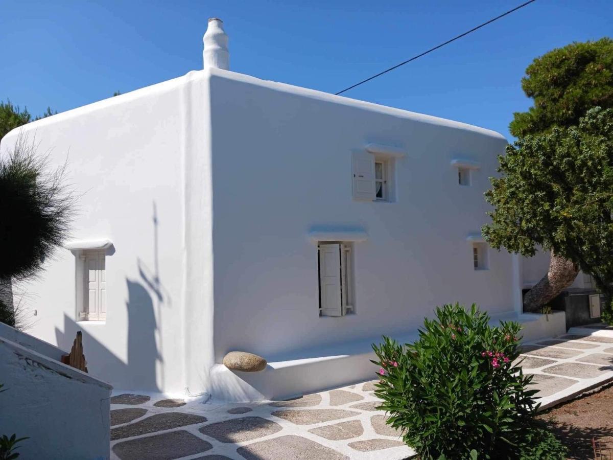 Villa Cassaris Mykonos Drafaki Exterior foto